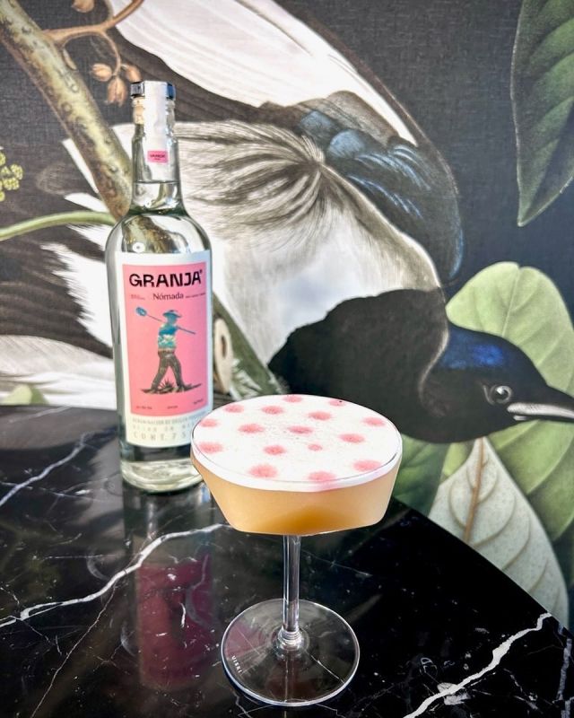 Start the weekend off right with a Granja Nomada cocktail! 

Try “La Avispa” 
• Granja Nomada Mezcal
•Fig
•Vanilla
•Lime 
•Maple syrup
•Egg white
•Blackberry puree
•Dash of blood orange bitters

.
.
.
#tequila #mezcal #granjanomada #cocktails #fridaycocktails #mezcalcocktails #mezcallovers